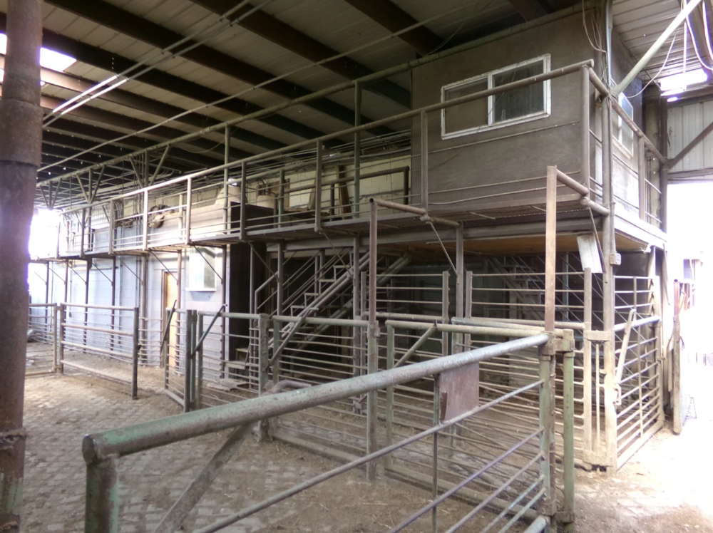 Interior of livestock barn with metal pens