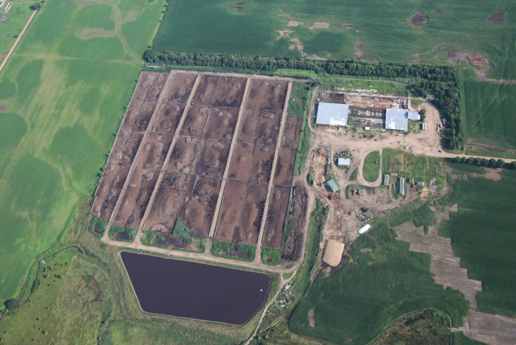 Aerial view of large cattle feedlot facility